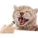 MYCENSE Pet Dental Finger Brush - Gentle Oral Care Tool for Cats and Dogs - Buy Online on GoSupps.com