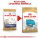 Royal Canin Chihuahua Puppy | Pack of 3 | 3 x 500 g | Complete food specially designed for Chihuahua puppies | Up to 8 months | May help reduce stool odors - Buy Online on GoSupps.com