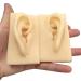 ERNZI 1:1 Life Size Human Ear Left & Right Ear Model Acupuncture Model Educational - 9 X 5 X7 cm(1 Pair)