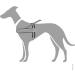 HUNTER RACING Norwegian Harness - Size SM (52-62 cm) - Grey/Black | International Shipping Available - Buy Online on GoSupps.com