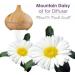 Buy 100% Pure Mountain Daisy Essential Oil (Celmisia Spectabilis) - Aromatherapy Therapeutic Grade 100ml with Dropper - International Shipping Available - Buy Online on GoSupps.com