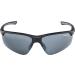 Alpina Tri-Effect 2.0 - Adjustable Frosted Sports & Bicycle Glasses for Adults | 100% UV Protection | Black Matt - Buy Online on GoSupps.com