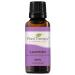 Plant Therapy Lavender Essential Oil 100% Pure, Undiluted, Natural Aromatherapy, Therapeutic Grade 30 mL (1 oz) 1 Fl Oz