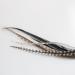7-10 Thin & Long Salt & Pepper Remix Feathers for Hair Extension - Beautiful Feathers - Buy Online on GoSupps.com