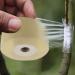 Atyhao Grafting Tape for Fruit Trees - Self Adhesive & Flexible Stretchable Clear Film (2cm) | Ideal Garden Tool for Successful Grafting - Buy Online on GoSupps.com