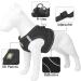 Harness and Lead Set for Puppy Cat Adjustable Reflective Vest Harness Cat Leash Cat Harness Escape Proof for Small Dog Cat Kitten Puppies Walking - Buy Online on GoSupps.com