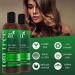 artnaturals Tea Tree Shampoo & Conditioner Set - 12 Fl Oz Each | Anti-Dandruff, Deep Cleansing for Dry Scalp & Itchy Hair - Buy Online on GoSupps.com