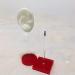 Buy Silicone Ear Mold Practice Tool - Acupoint Learning & Simulation Ear Model for Auditory Meatus | International Shipping Available - Buy Online on GoSupps.com