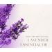 French Lavender 1/2 fl oz (15 ml) Glass Bottle 100% Pure Essential Oil GreenHealth - Buy Online on GoSupps.com