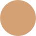 Elsia Platinum Whitening Foundation 415 ocher 9.3g Kose - Buy Online on GoSupps.com