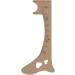 Huyath Eyebrow Ruler Women Eyebrow Template for Eye Liner - Eyebrow Shaping Ruler Eye Makeup Aid Brow Measuring Tool for Beginners Eye Liner Eyelash Eyebrow Khaki - Buy Online on GoSupps.com