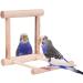 2Pcs Bird Mirror & Swing Toy for Budgies, Parrots, Love Birds - Fun Playtime in Cage - Buy Online on GoSupps.com