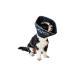 All Four Paws The Comfy Cone Pet Collar Large Black
