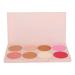 Blush Bronzer Highlighter Palette 8 Colors Blush Palette 4 in 1 Blush Highlight Contour Palette Delicate Power Texture Glitter Matte Blush and Highlight Palette 8 Colors Makeup P