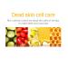PETITFEE Lip Oil Super Seed | 0.10 Oz | Moisturizing Non-Sticky Lip Care with Honey & Herbal Oils | Glowy & Revitalizing Lip Treatment - Buy Online on GoSupps.com