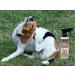 Banixx Pet Care 8oz - Fungal & Bacterial Infection Treatment for Pets - Buy Online on GoSupps.com