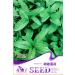 50 semi/Bag Mentha piperita semi arvensis selvatiche Menta Acqua Menta semi di vaniglia imballaggio Originale