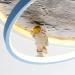 Modern LED Ceiling Lamp - Dimmable Moon Surface Astronaut Design for Kids' Rooms | Remote Control | Stylish Chandelier Lighting for Dining & Living Rooms - 40cm - Buy Online on GoSupps.com