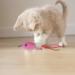 5Pcs Catnip Toy Set - Interactive Pink Fish & Feather Teaser for Kittens | Catnip Filled Plush Toys for Teething Chew Cat Wand Accessories - Buy Online on GoSupps.com