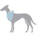 HUNTER Triangular Scarf NOLA - Blue SS Size | Stylish International Shipping Available - Buy Online on GoSupps.com