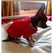 Chihuahua Clothes Puppy Dog Coat Knit Jumper Cosy Teacup Smaller Breeds XXXS Tiny Toy Miniature Dogs (XXXS RED) 3XS (Pack of 1) - RED - Buy Online on GoSupps.com