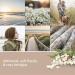 Yankee Candle Seaside Woods Electric Scent Plug Refill - Pack of 4 | International Shipping Available - Buy Online on GoSupps.com