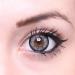 Shop Matlens Geolica Gray Circle Contact Lenses | Big Eyes WPM-505 | Includes Case & 50ml Care Solution - No Prescription Needed - Buy Online on GoSupps.com