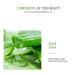 Aloe Vera 92% Moisturizing Gel - Natural Extract for Nourishing & Softening Skin | Acne Removal | 300g - Buy Online on GoSupps.com