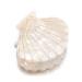 Shell Jaw Clip Hair Claw | Resin Hair Clips Marble Pattern Hair Accessories - White - Buy Online on GoSupps.com