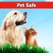 I Must Garden Dog and Cat Repellent 32oz Easy Spray - All Natural Solution to Stop Chewing and Repel Pets from Yards, Plants, and Gardens - Buy Online on GoSupps.com