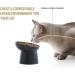 Small Ceramic Raised Cat Bowls - Tilted & Elevated for Stress-Free Feeding - Backflow Prevention - Dishwasher & Microwave Safe - Lead & Cadmium Free - Black - Buy Online on GoSupps.com