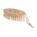 Redecker Tampico Fiber Dry Massage Brush with Untreated Beechwood Handle  5-1/2-Inches