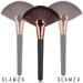Glamza Black and Rose Gold Fan Highlight Brush Face Body Contour Blending Contouring - Buy Online on GoSupps.com