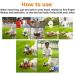 Shop Baoding Balls - Chinese Health Massage Ball Set for Stress Relief & Hand Exercise - Buy Online on GoSupps.com