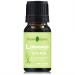 Lemongrass Essential Oil 100% Pure and Natural Premium Grade Organic Thai Lemongrass Oil for Diffuser or Skin Products 10ml 0.33 fl oz Cymbopogon Citratus Lemongrass 0.33 Fl Oz (Pack of 1)
