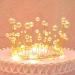 Cake Decoration Birthday Pearl Crown Birthday Cake Crown Cake Topper for Baby Shower Birthday Party Wedding Cake Decoration for Children Girls Women Lady - Buy Online on GoSupps.com