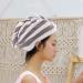 Magic Microfiber Hair Towel - Fast Drying Quick Dry Bath Wrap Cap Turban (Blue & Pink) - Ideal for All Hair Types - Buy Online on GoSupps.com