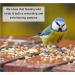 Squirrel Mixture 200g Premium Wild Life Food Garden Seed Feed - SLW - Buy Online on GoSupps.com
