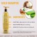 Buy GK Hair Global Keratin Gold Shampoo 250ml - Free Moisturizing Conditioner 10ml | Nourish & Protect Hair with Argan Oil & Shea Butter | International Shipping - Buy Online on GoSupps.com