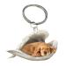 Car Pendant Cute Sleeping Dog Angel Car Key Pendant for Dog Lovers Moms Car Hanging Ornament Windows Decor Ornament Sleeping Angel Animal Pet Dog Lover Car Rear View Mirror Accessories Cocker Spaniel Unity size