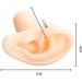Simulation Silicone Ear Model - Life Size Artificial Ear Model Soft Silicone Ear Model for Teaching - for Ear Picking Practice Studs Earring Display Props left - Buy Online on GoSupps.com