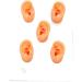 5Pcs Waterproof Soft Ear Model Displays for ENT Hospitals - Complete Tools Included - Buy Online on GoSupps.com