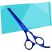 SKISUNO 1pc Hair Scissors Stainless Steel Scissors Salon Scissors Professional Hairdressing Scissors Ergonomic Design Scissors Barber Clippers Barber Scissors Teeth Cut Scissors Pet - Buy Online on GoSupps.com