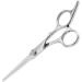 Stainless Steel Hair Scissors Hair Thinning Scissors Cutting Shear Professional Hair Cutting Scissors Cutting Styling Hair Hairdressing Shear Hair Shears Scissor for Family Salon Barber(Regulate Scissor) - Buy Online on GoSupps.com
