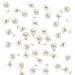 AKOAK 100 Set Pearl Rivet Half Hole Faux Pearls Rivets Studs Buttons for Hat/Shoe/Clothes/Bag/Skirt/Bridal Veil DIY Accessories (6.0mm)