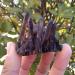 Crystal Rough 90-100g Natural Beautiful Black Quartz Crystal Cluster Tibetan Specimen