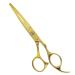 Equinox International Hair Cutting Scissors - Japanese Stainless Steel - Hairdressing Scissors for Men Women and Salons - Gold