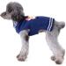 ABRRLO Christmas Dog Sweater - Warm & Cozy Pet Sweater for Small to Medium Dogs - Buy Online on GoSupps.com