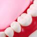 Gljy Dental Clinic Standard Model - Ideal for Teeth & Gum Demonstrations | Easy to Use & Maintain - Buy Online on GoSupps.com