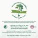 Buy Pinus Vital Harmonizing Body Lotion - 200ml | Nourishing & Soothing Skincare for All Skin Types - International Shipping Available - Buy Online on GoSupps.com